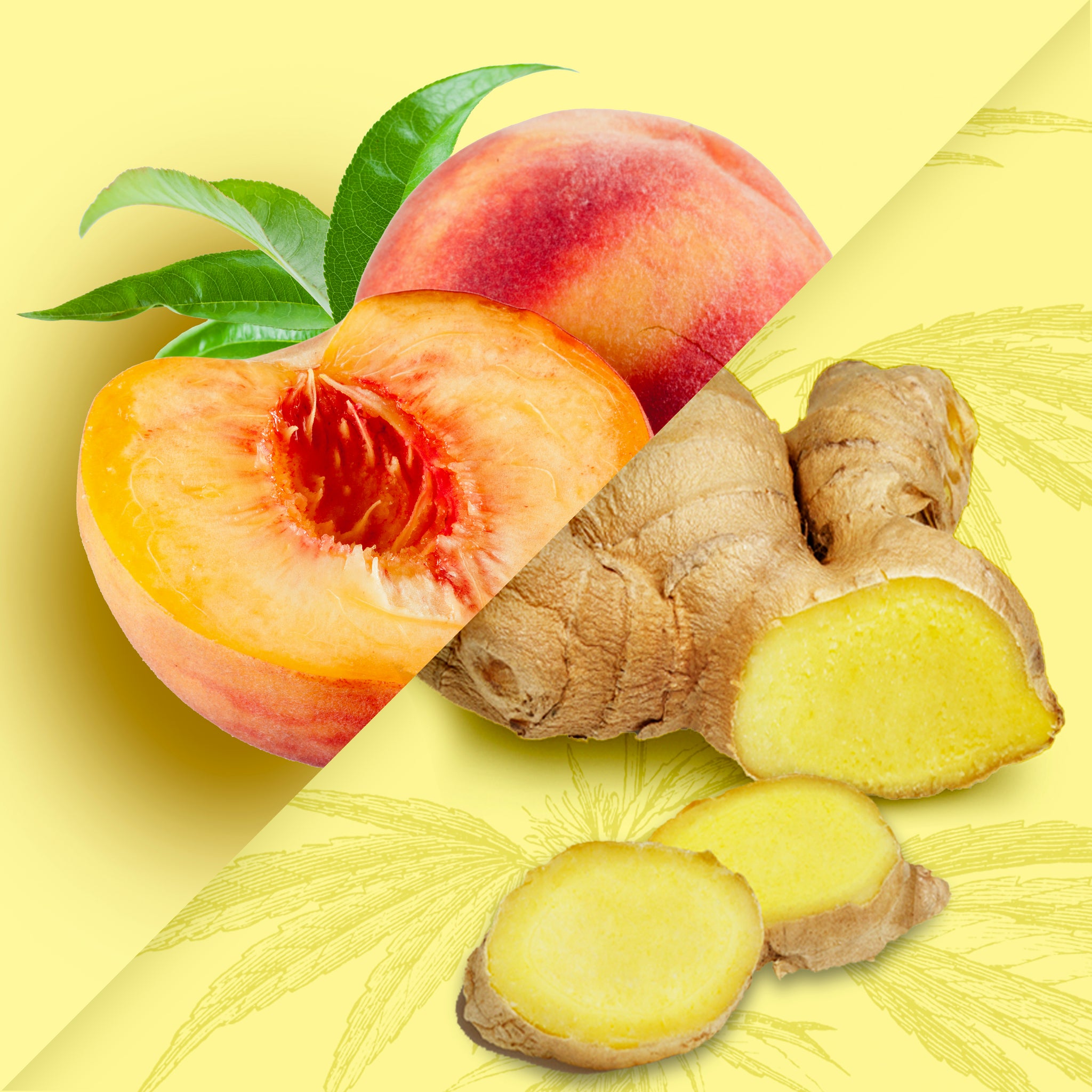 Adaptogen Infused Peach & Ginger Black Tea (12 Cans)